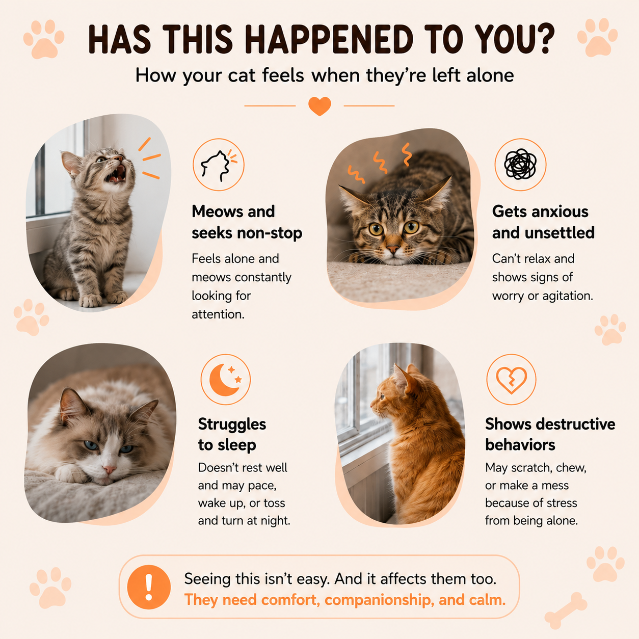 PlushPaw™ Calming Companion